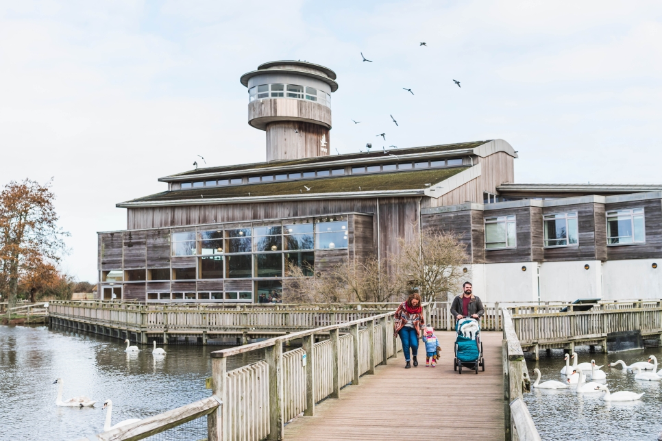 Slimbridge Wetland Centre WWT